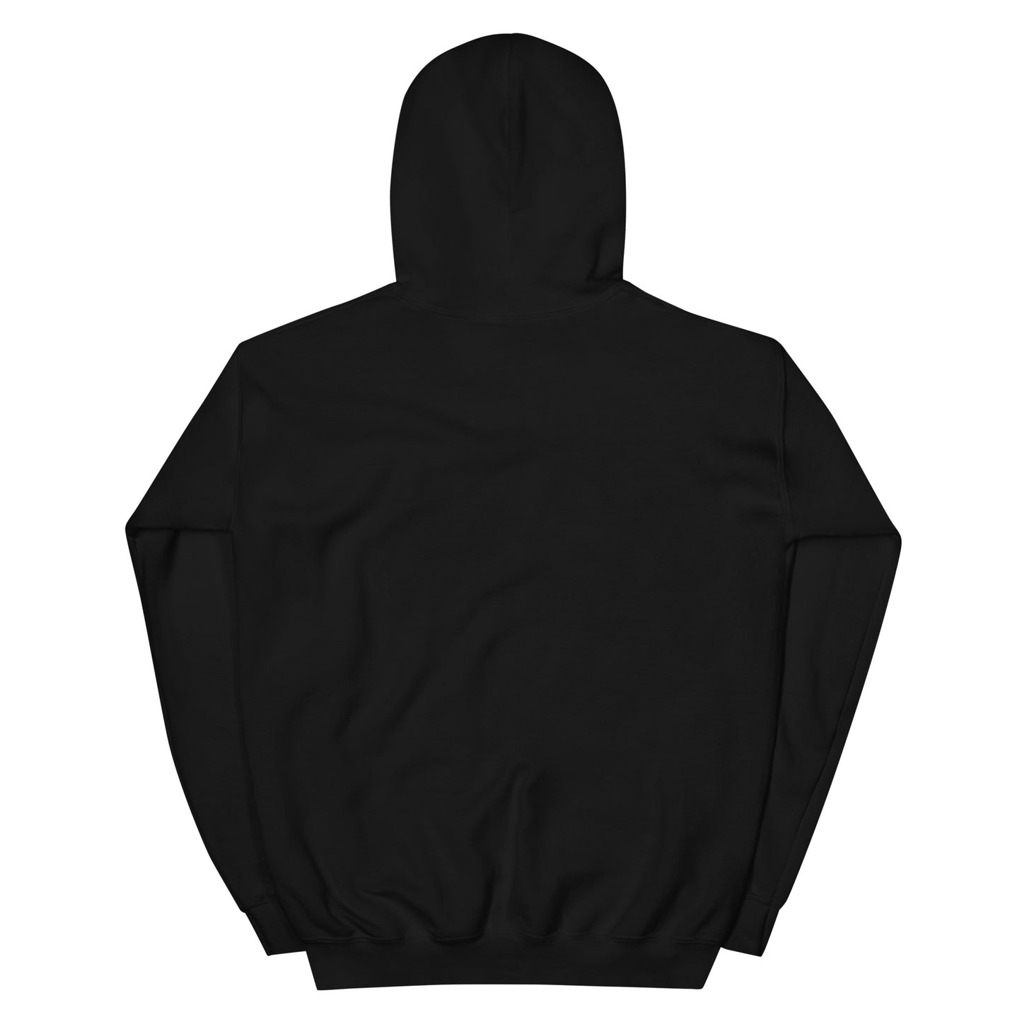 GraffyTees Aliens Painting Unisex Hoodie