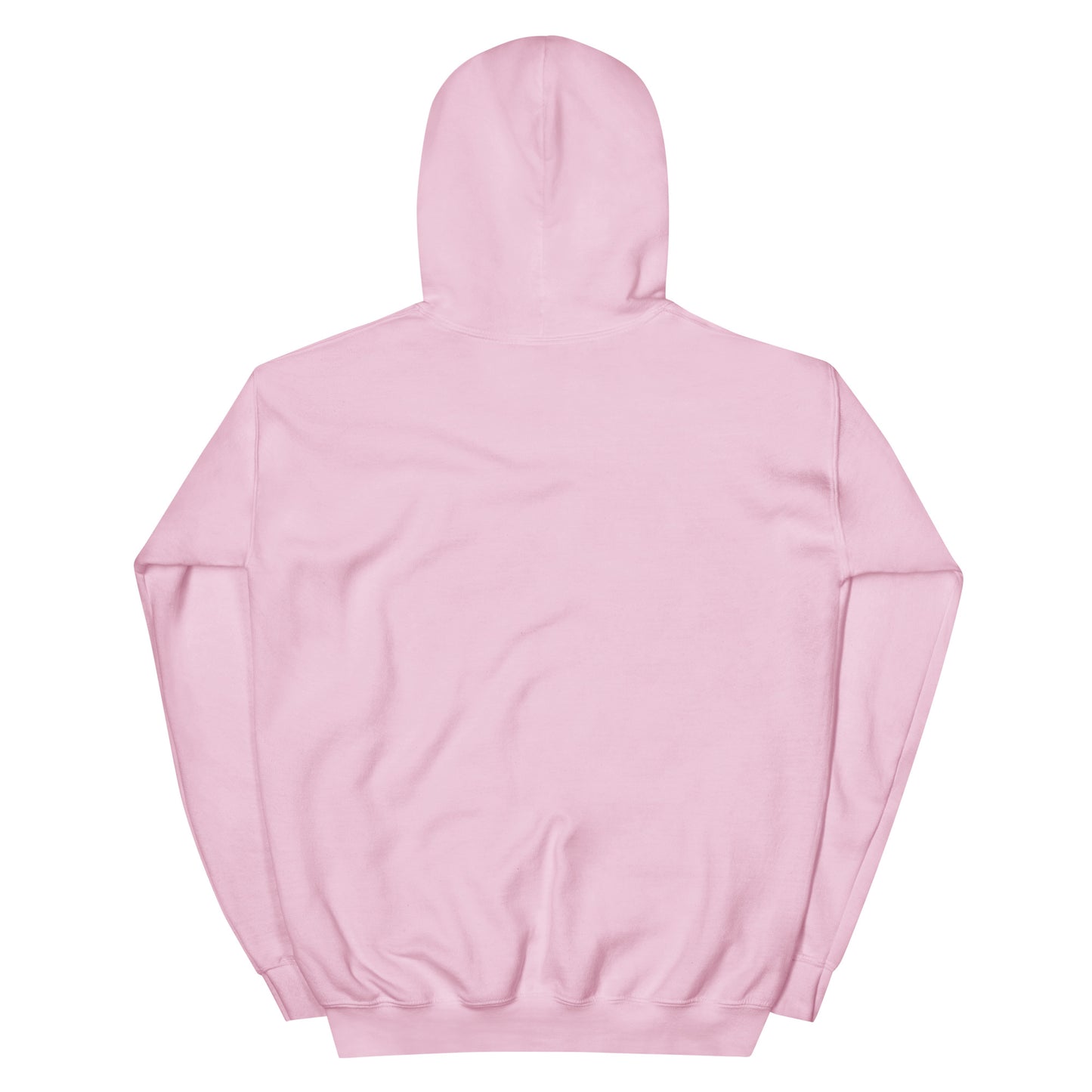 GraffyTees Aliens Painting Unisex Hoodie