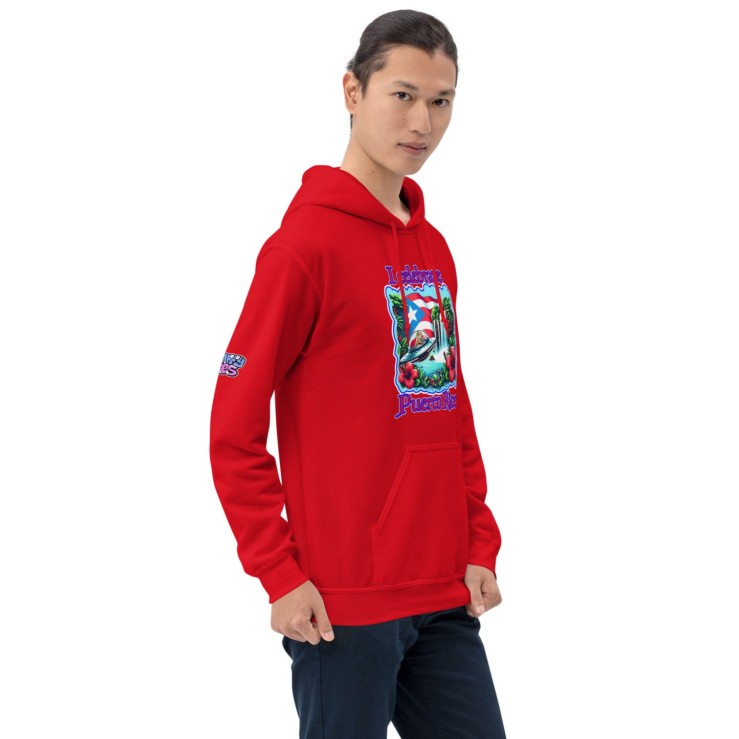 Graffytees I Celebrate Puerto Rico Unisex Hoodie