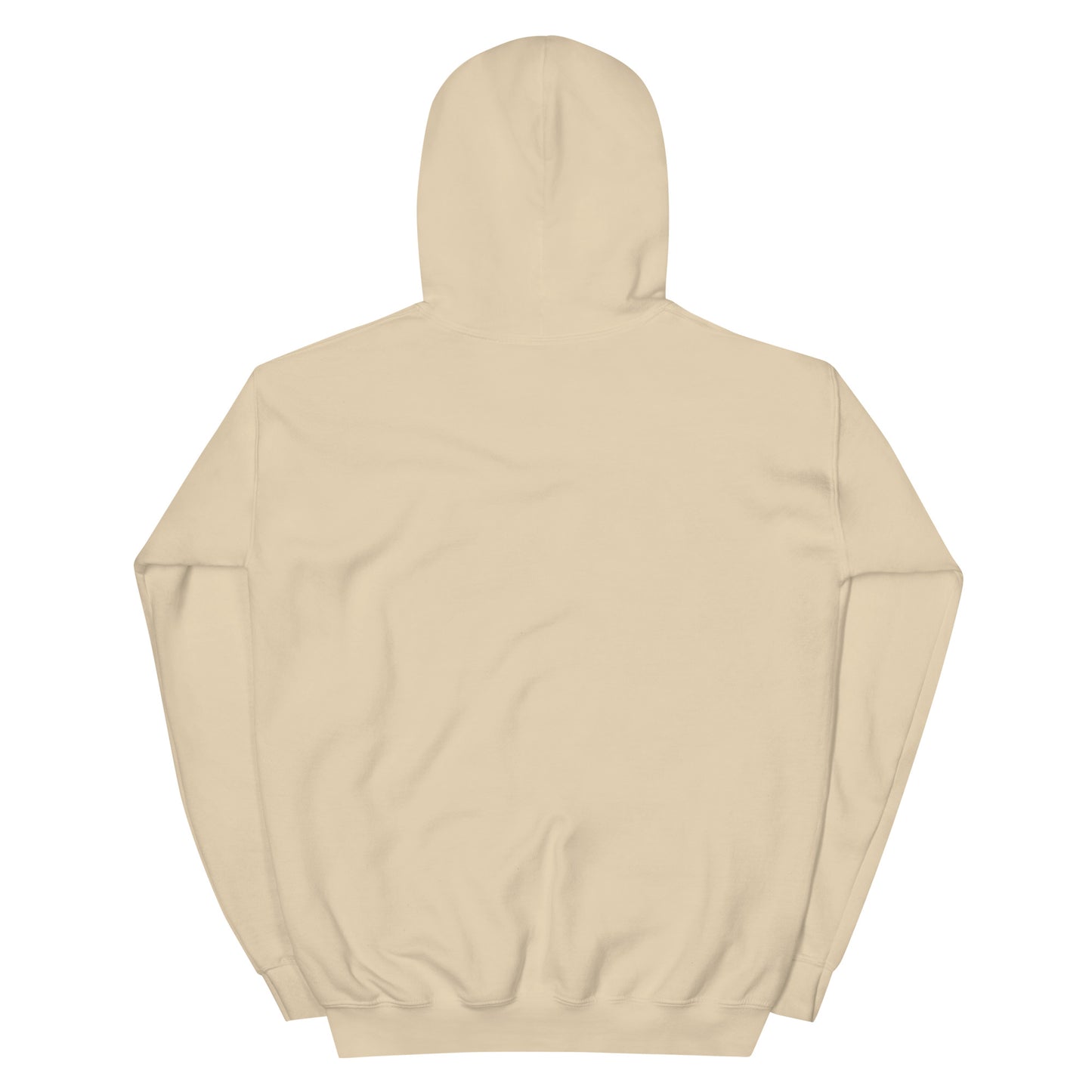 GraffyTees Aliens Painting Unisex Hoodie