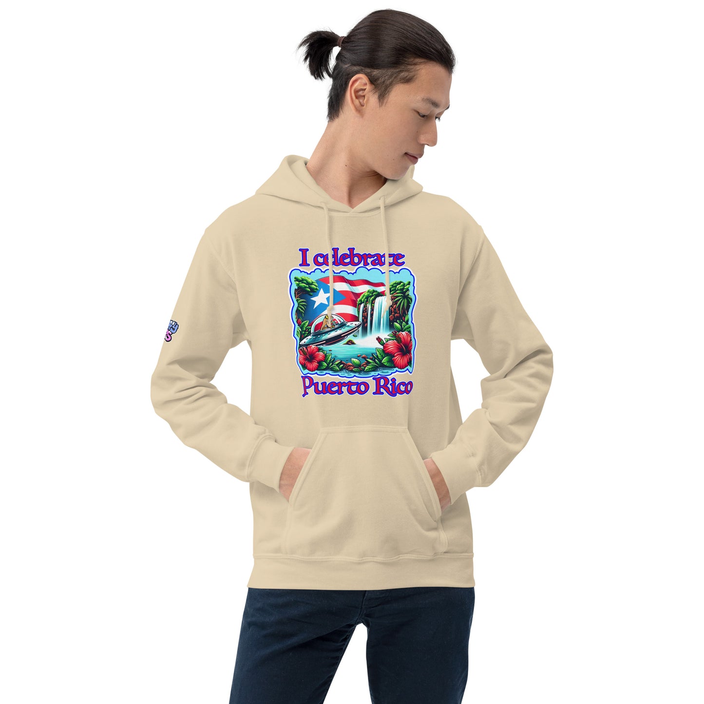 Graffytees I Celebrate Puerto Rico Unisex Hoodie