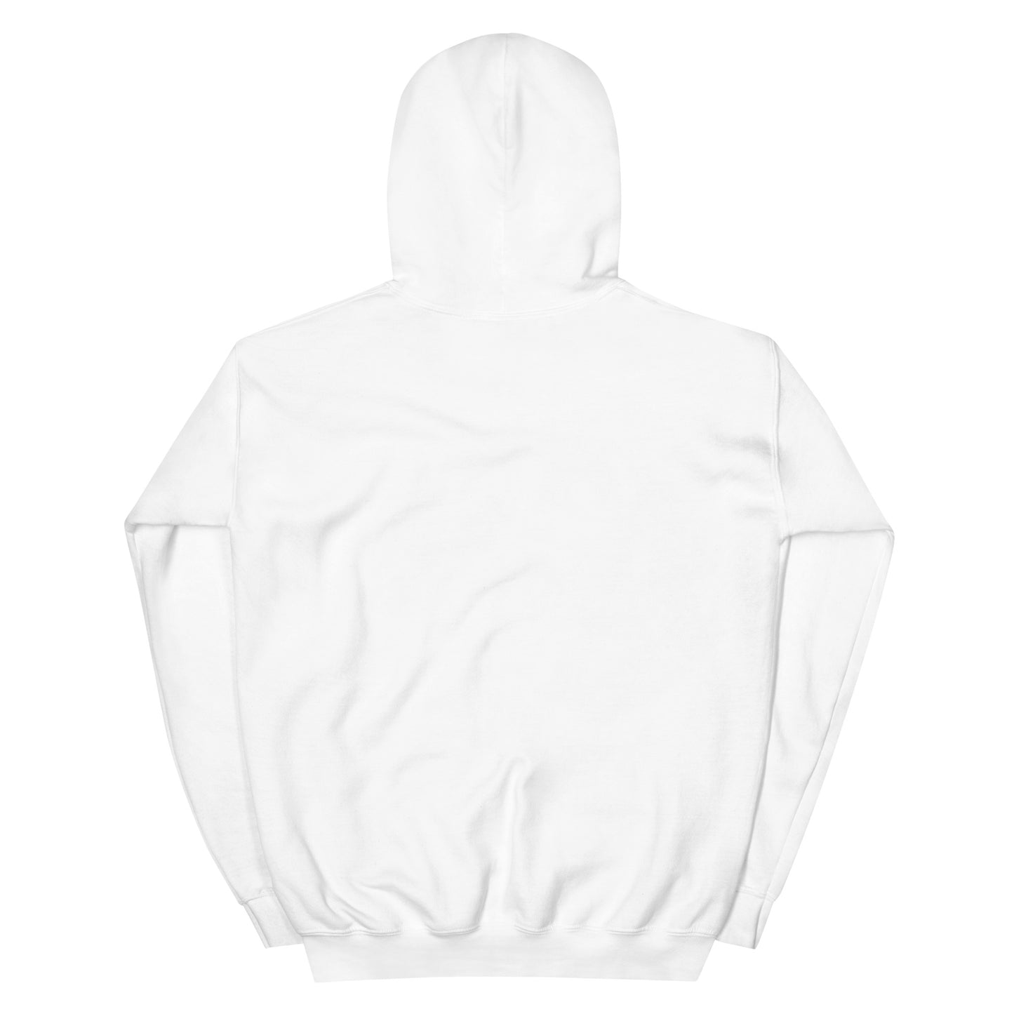 GraffyTees Aliens Painting Unisex Hoodie