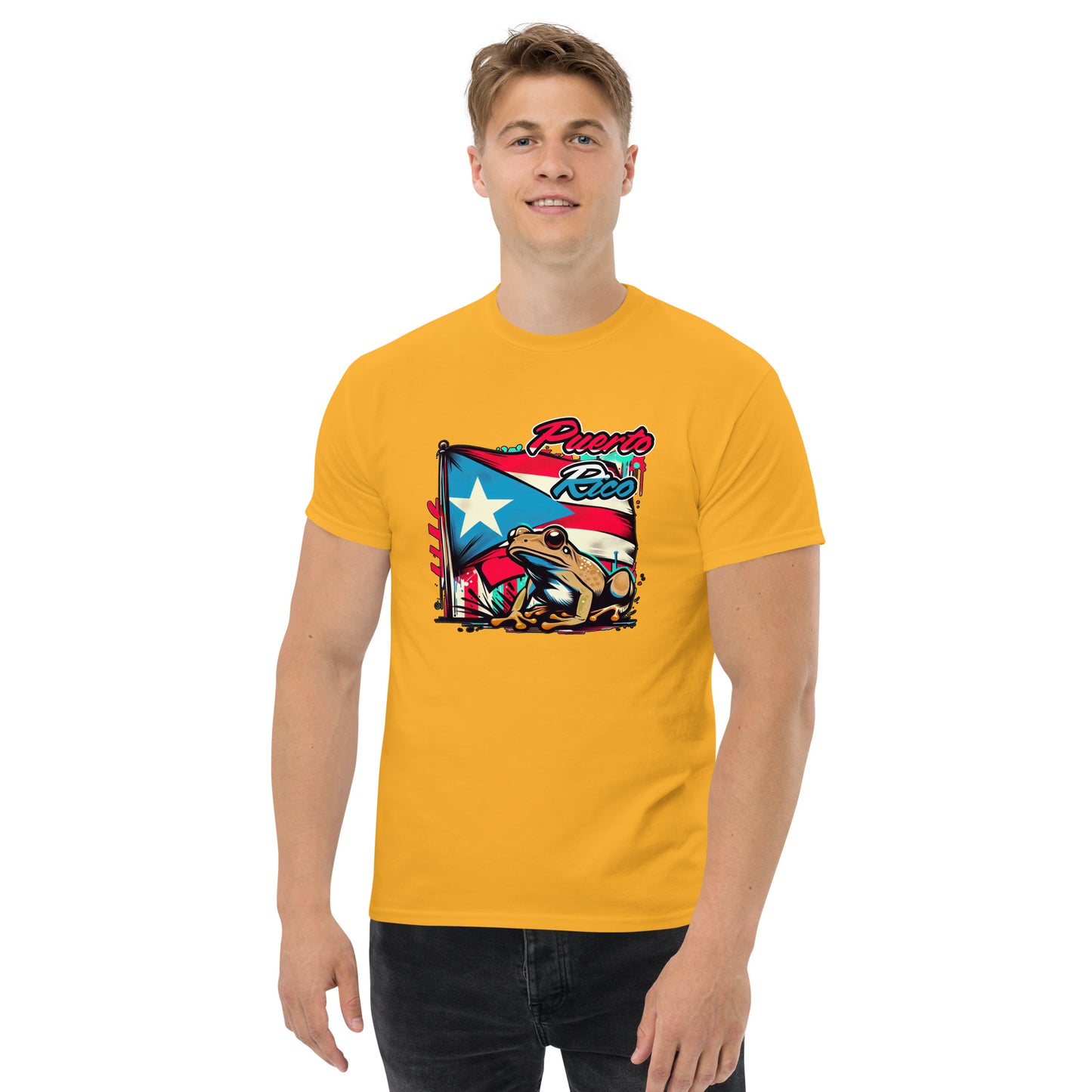 Graffytees Puerto Rico flag and coqui Men's classic tee